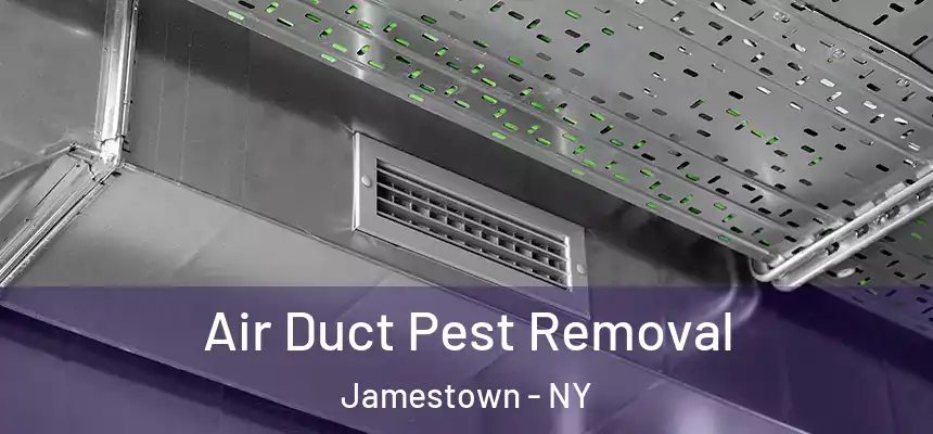 Air Duct Pest Removal Jamestown - NY