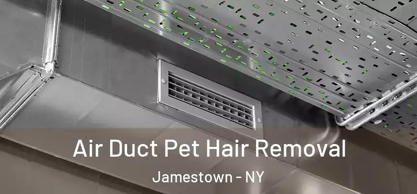 Air Duct Pet Hair Removal Jamestown - NY