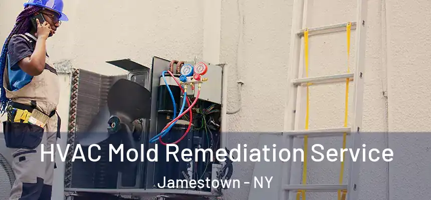 HVAC Mold Remediation Service Jamestown - NY