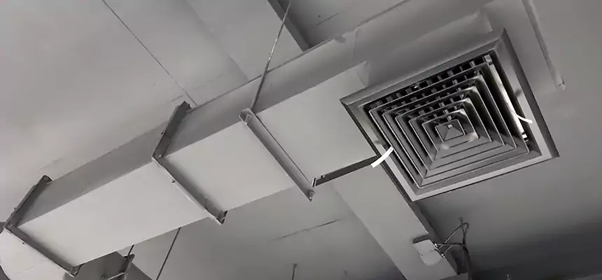 Our Pest Removal From Ducts Services in Jamestown, NY