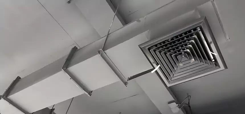 Our Rodent Droppings In Vents Services in Jamestown, NY