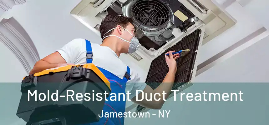  Mold-Resistant Duct Treatment Jamestown - NY