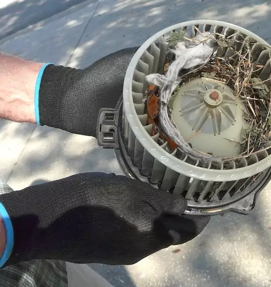 About Air Duct Mice Removal in Jamestown, NY